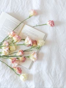 Preview wallpaper flowers, buds, book, aesthetics, light