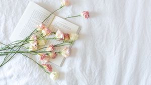 Preview wallpaper flowers, buds, book, aesthetics, light