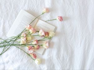 Preview wallpaper flowers, buds, book, aesthetics, light