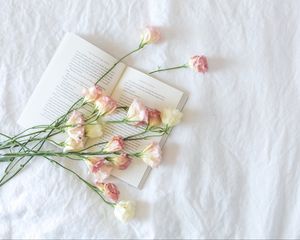 Preview wallpaper flowers, buds, book, aesthetics, light