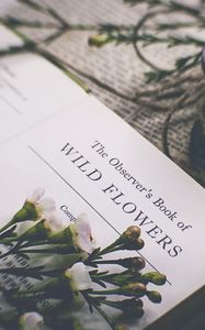 Preview wallpaper flowers, buds, book, newspaper, blur, aesthetics