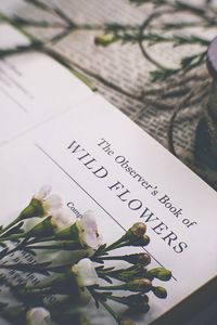 Preview wallpaper flowers, buds, book, newspaper, blur, aesthetics