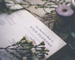 Preview wallpaper flowers, buds, book, newspaper, blur, aesthetics