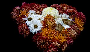 Preview wallpaper flowers, buds, bouquet, black background
