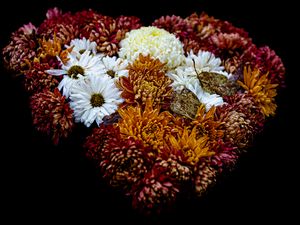 Preview wallpaper flowers, buds, bouquet, black background