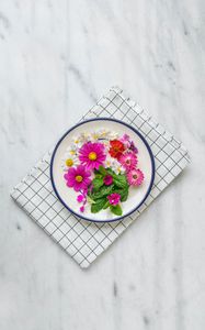 Preview wallpaper flowers, chamomile, plate, cloth