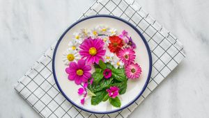 Preview wallpaper flowers, chamomile, plate, cloth