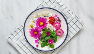 Preview wallpaper flowers, chamomile, plate, cloth