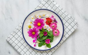 Preview wallpaper flowers, chamomile, plate, cloth