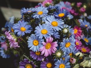 Preview wallpaper flowers, colorful, bouquet