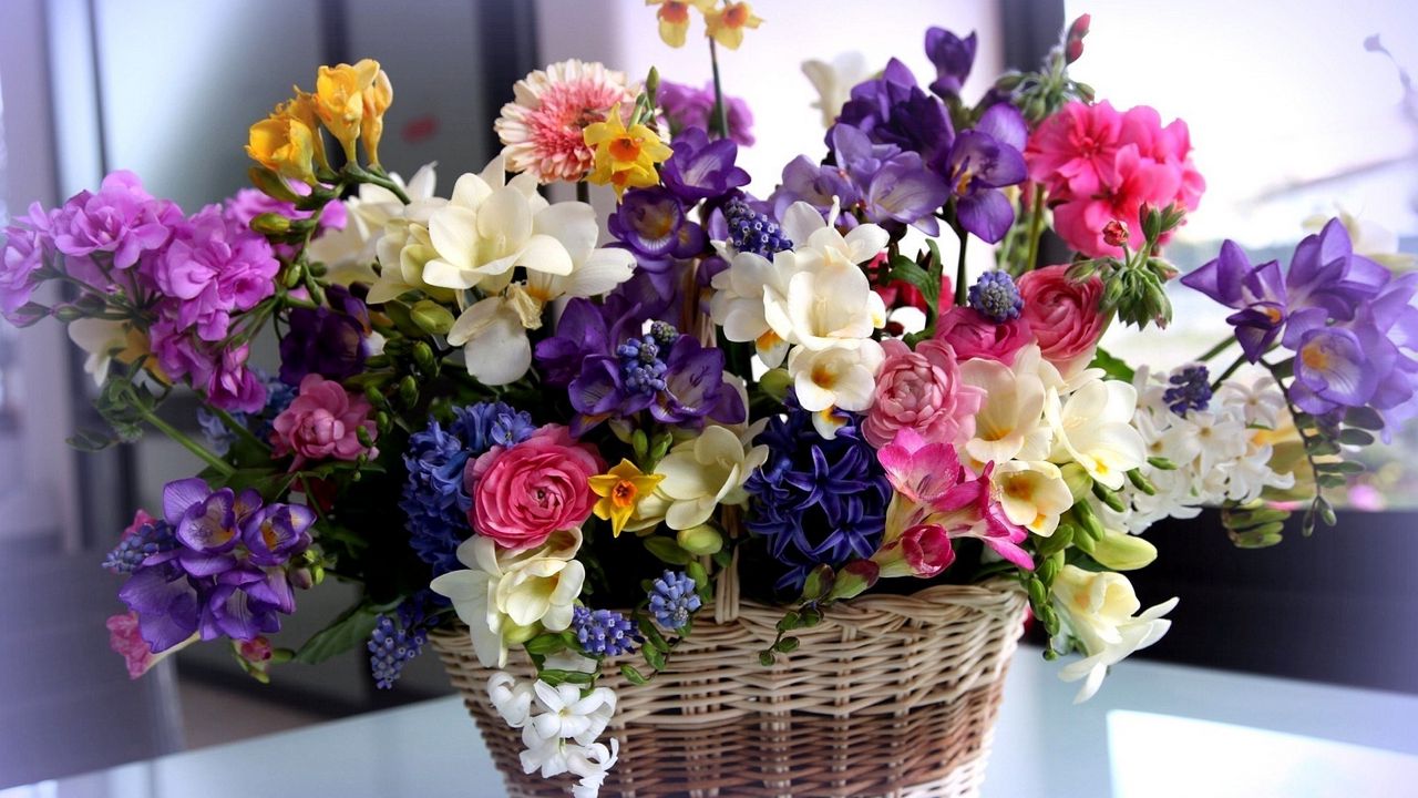 Wallpaper flowers, colorful, different, basket, flower, beautiful