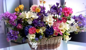 Preview wallpaper flowers, colorful, different, basket, flower, beautiful