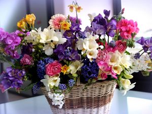 Preview wallpaper flowers, colorful, different, basket, flower, beautiful