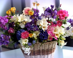 Preview wallpaper flowers, colorful, different, basket, flower, beautiful