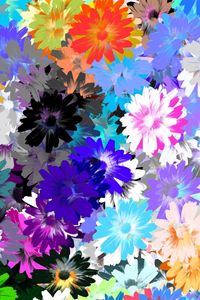 Preview wallpaper flowers, colorful, drawing, oil