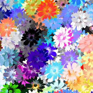 Preview wallpaper flowers, colorful, drawing, oil