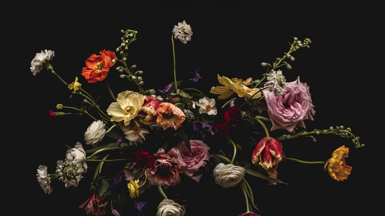 Wallpaper flowers, composition, bouquet, colorful