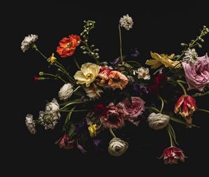 Preview wallpaper flowers, composition, bouquet, colorful