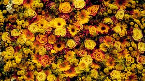 Preview wallpaper flowers, composition, floral carpet