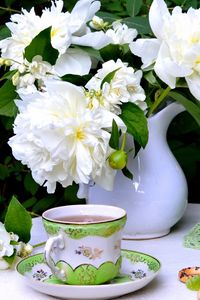 Preview wallpaper flowers, cup, pretzels, still life