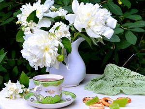 Preview wallpaper flowers, cup, pretzels, still life