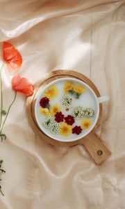 Preview wallpaper flowers, dandelion, plate, cloth