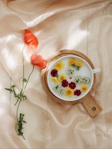 Preview wallpaper flowers, dandelion, plate, cloth