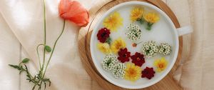 Preview wallpaper flowers, dandelion, plate, cloth