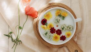 Preview wallpaper flowers, dandelion, plate, cloth