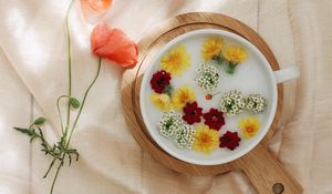 Preview wallpaper flowers, dandelion, plate, cloth