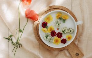 Preview wallpaper flowers, dandelion, plate, cloth
