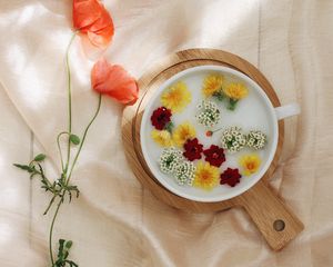 Preview wallpaper flowers, dandelion, plate, cloth