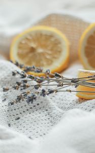 Preview wallpaper flowers, dried flowers, lemon, cloth