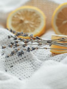 Preview wallpaper flowers, dried flowers, lemon, cloth