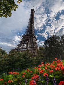 Preview wallpaper flowers, eiffel tower, trees, paris, sun