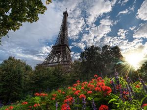 Preview wallpaper flowers, eiffel tower, trees, paris, sun