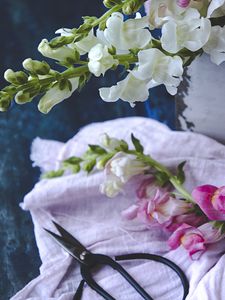 Preview wallpaper flowers, fabric, scissors, vintage