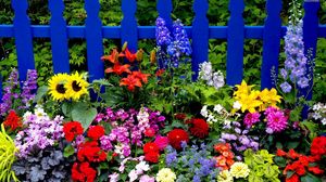 Preview wallpaper flowers, fence, different, bright