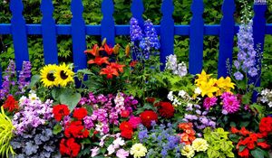 Preview wallpaper flowers, fence, different, bright