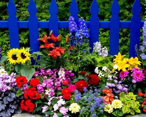 Preview wallpaper flowers, fence, different, bright