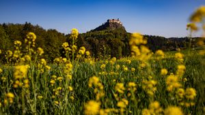 Preview wallpaper flowers, field, grass, building, nature