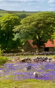 Preview wallpaper flowers, field, house, trees, nature