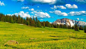 Preview wallpaper flowers, field, valley, trees, mountains, spring