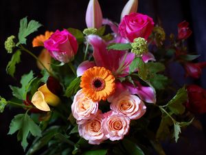 Preview wallpaper flowers, flower, black background