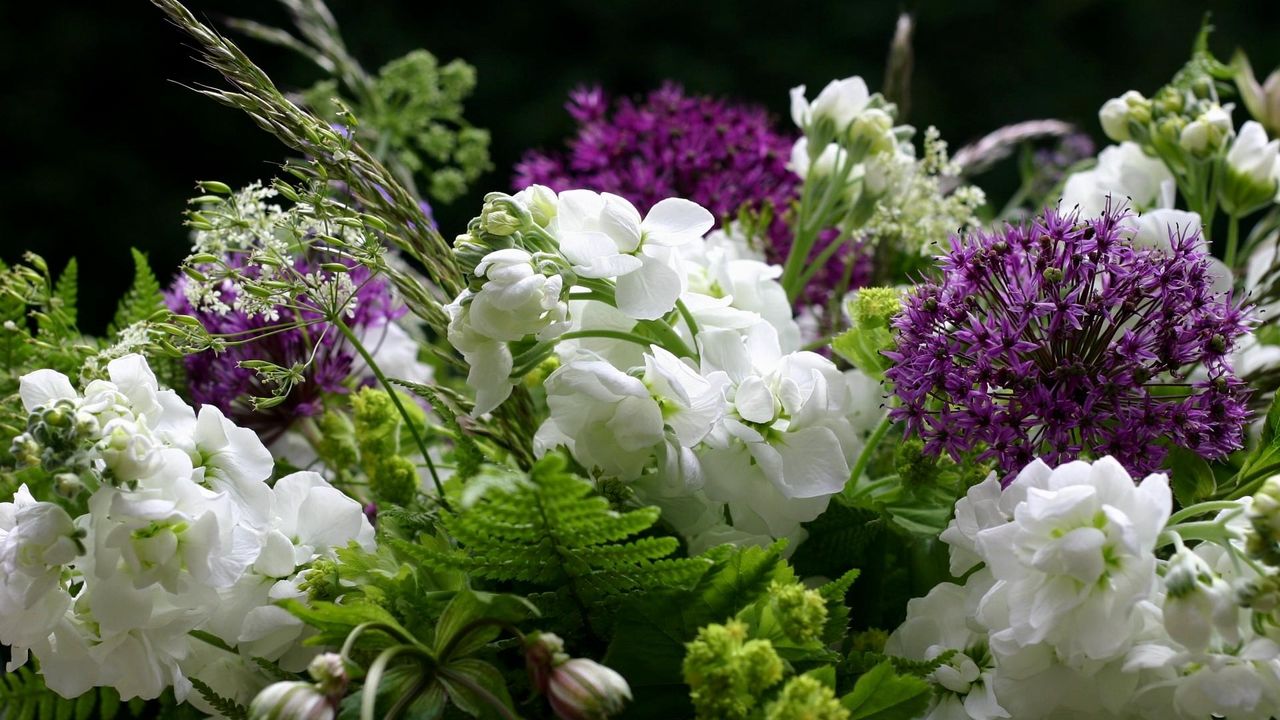 Wallpaper flowers, flower, green, close-up