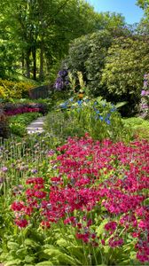 Preview wallpaper flowers, garden, beds, bushes, abundance, colors, allsorts