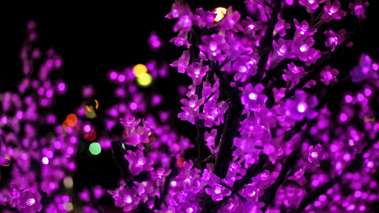 Wallpaper flowers, garland, purple, branch, dark