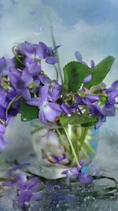 Preview wallpaper flowers, glass, petals