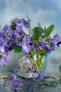 Preview wallpaper flowers, glass, petals