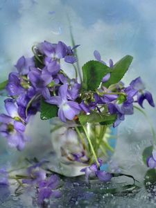 Preview wallpaper flowers, glass, petals